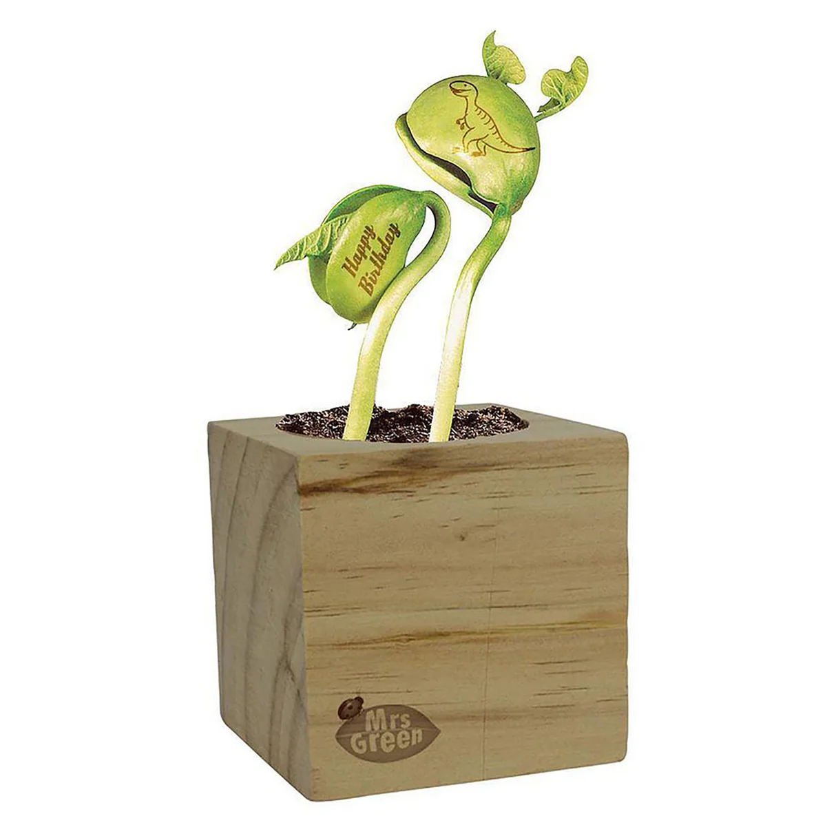 Mrs Green Magic Beans 5 Mrs Green Magic Beans