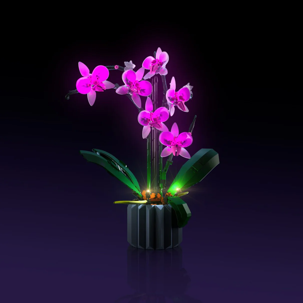 LMB 2.0 Light Kit for LEGO Orchid #10311 23 LMB 2.0 Light Kit for LEGO Orchid #10311