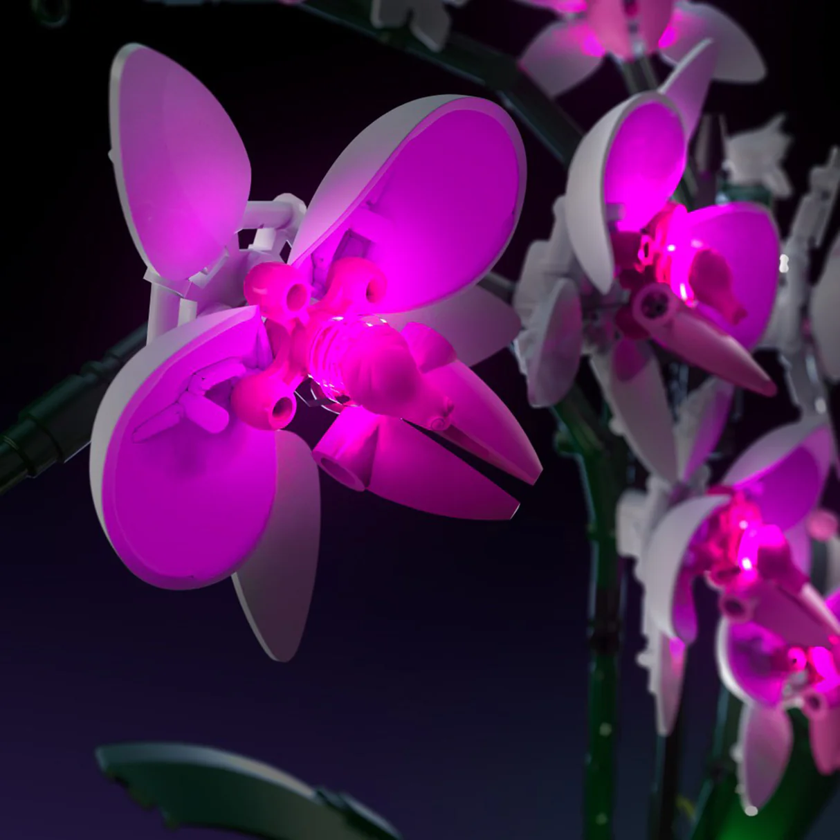 LMB 2.0 Light Kit for LEGO Orchid #10311 15 LMB 2.0 Light Kit for LEGO Orchid #10311