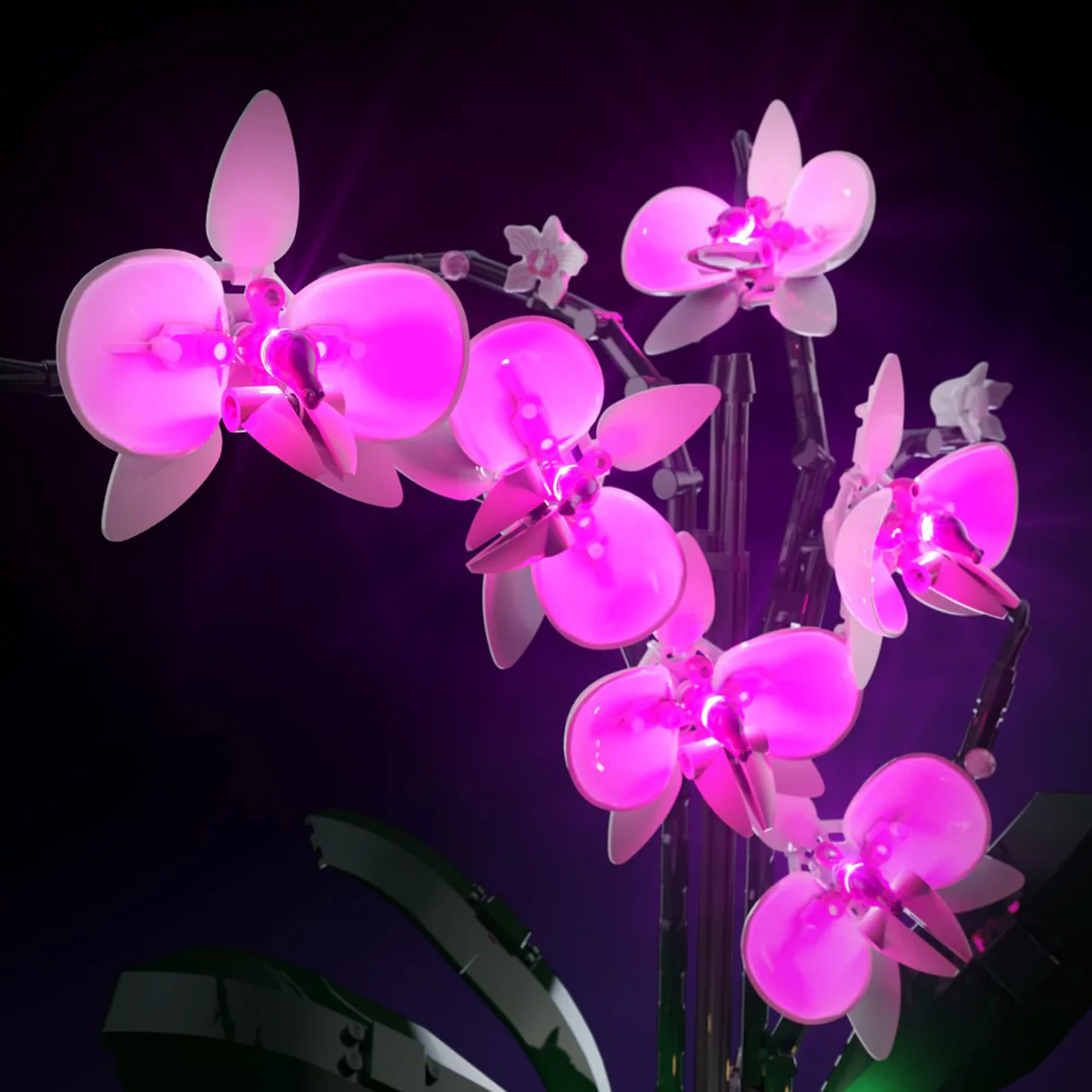 LMB 2.0 Light Kit for LEGO Orchid #10311 17 LMB 2.0 Light Kit for LEGO Orchid #10311