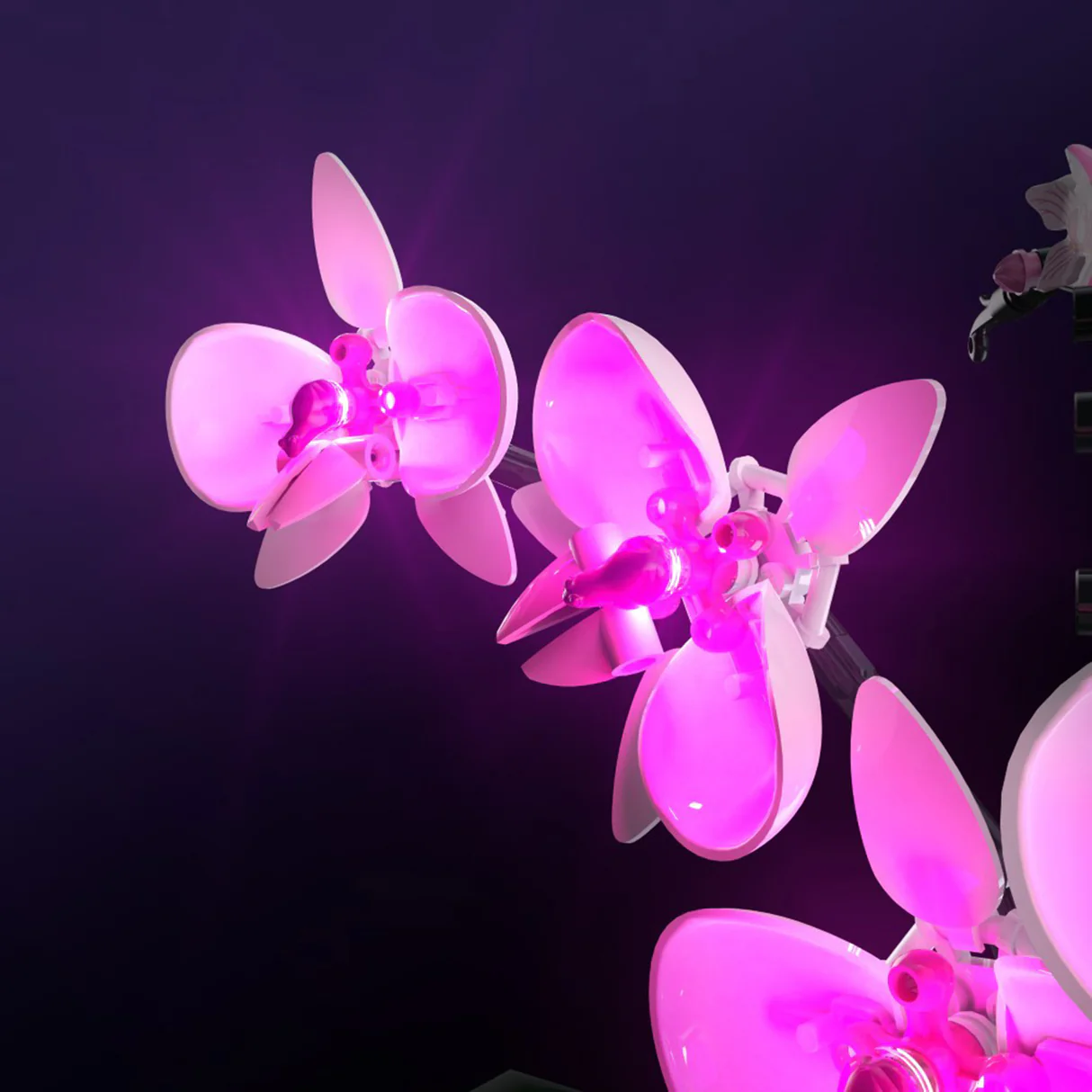 LMB 2.0 Light Kit for LEGO Orchid #10311 18 LMB 2.0 Light Kit for LEGO Orchid #10311